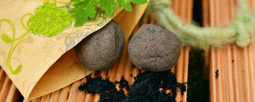 Credit: Pixabay In einer gelben Tüte liegen zwei Seedballs.